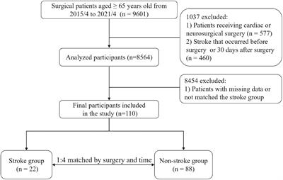 Hypertriglyceridemia is associated with stroke after non-cardiac, non-neurological surgery in the older patients: A nested case-control study